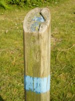 Bidea horrelako seinaleek adierazten dute