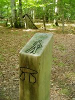 Interesguneak hau bezalako seinaleez adierazita daude