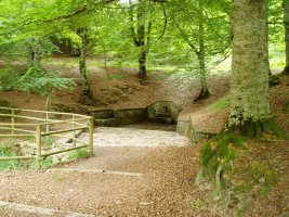 Los Mosquitos iturria