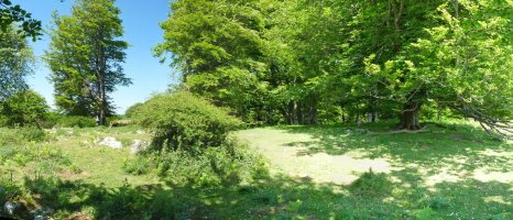 Sanmigelargaingo gailurra