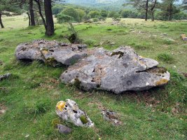 Santa Marina zutarria