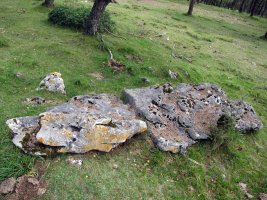 Santa Marina zutarria