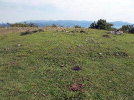 Urdiaingo Portua 1 tumulua