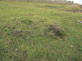 Urdiaingo Portua 2 tumulua