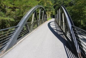 Honelako zubi asko ere pasatzen ditu bideak