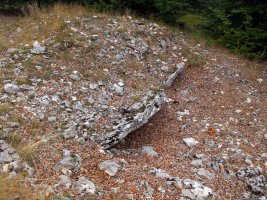 Puerto Viejo de Baquedano 1 Ipar