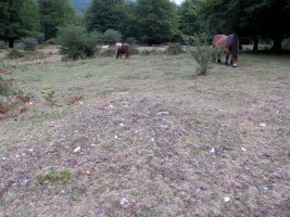 Otsaportilloko Bidegurutzea