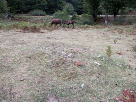 Otsaportilloko Bidegurutzea