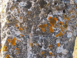 Ipar aldeko alderdian grabatutako gurutzea