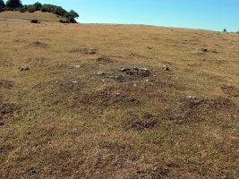 REGALBAR 1 ekialde tumulua