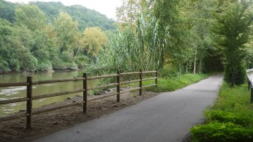 Behobiako autopistaren zubiaren azpian