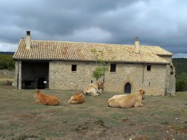 Santiago ermita Lokizen