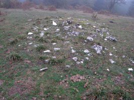 Siasmuno 1-go tumulua