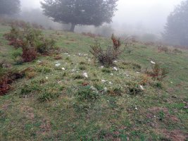 Siasmuno 2-go tumulua