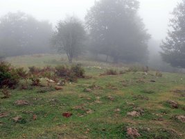 Siasmuno 3 tumuluak batera