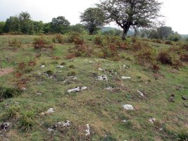 SIASGAIN 1-go tumuloa