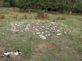 SIASGAIN 2-garren tumulua