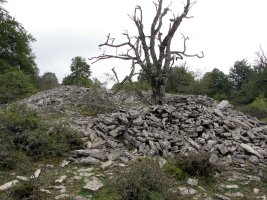 ARMORKORA HAUNDI trikuharria