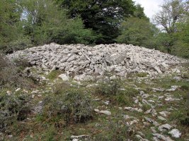 ARMORKORA TXIKIA trikuharria