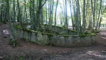 Leizearen sarrera harresiaz inguratua