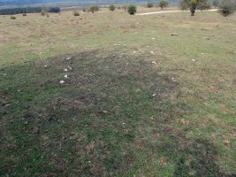 ARTEKOSAROKO BIDEA mendebalde etxola hondoa