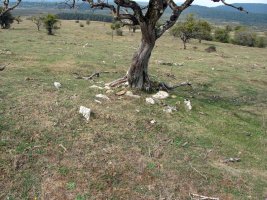 PEDROTXIKI 3 tumulua