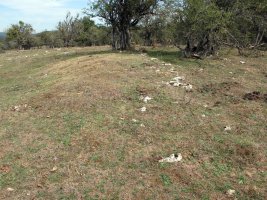 ARTEKOSAROKO BIDEA etxola hondoa