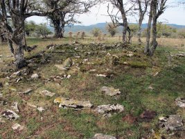 ARTEKOSAROKO BIDEA tumulua