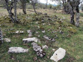 ARTEKOSAROKO BIDEA tumulua