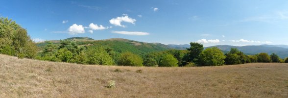 Panorama zabala El fuertetik
