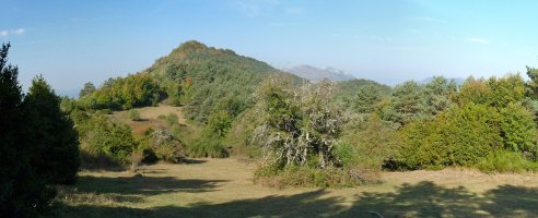 Baxako gailur oihantsua