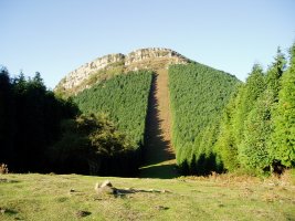 Camporredondotik ikusita