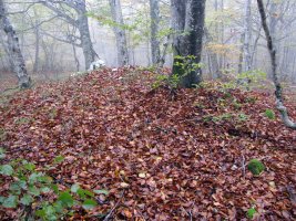 Ekaiza tumulua, Urbasa