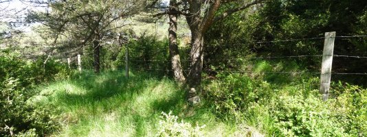 Irotzmendiko (Iturratx) gailurra