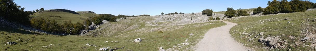 Igaratzako bideko panoramika