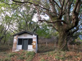 San Anton ermita Sara aldean