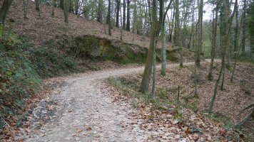 Sorondo eta Irubideta artean