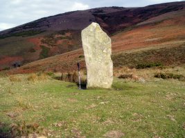 Pagozarreta zutarria