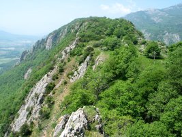 Gandorreko ikuspegia