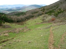 HEko lepoko ikuspegia