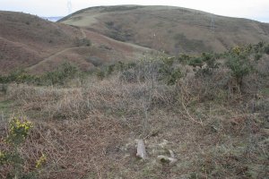 URBISIKO  ERREKA  Zista