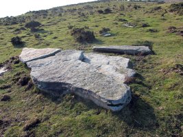 Xoldokogaña zutarria