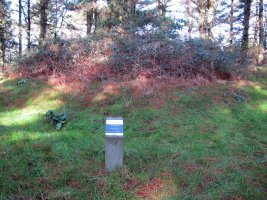 Trikuaizti II tumulua egun sasiak tapatuta