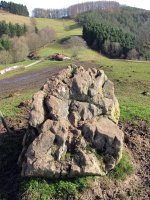 Larrarte trikuharria