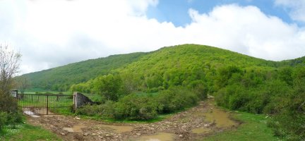 Azpalako bizkar oihantsua