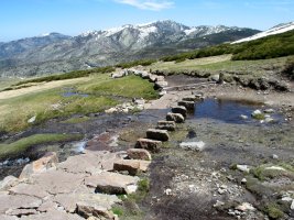 Plataformatik Zirkora doan bideko pasarte bat