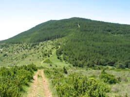 Iparraldeko isurialdea