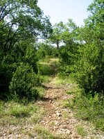 Pierola aldeko bidea ezpel artean