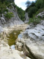 Santa Kolonbako arroila