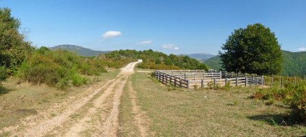 Araden mendiko gailurra